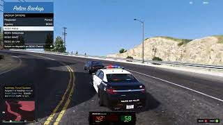 Paleto Bay Stolen Fugitive Pursuit GTA 5LSPDFR [upl. by Magbie]