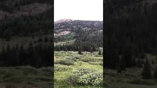 Video of Elk Creek Campground CO from Jessica B [upl. by Uella]