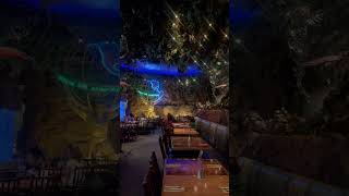 Rainforest Cafe Thunderstorm Disney Springs Orlando [upl. by Kosse]