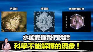 科學家發現有一種聲音，竟然出現神的樣子，甚至治愈了不治之症，但是最後一切都被消失   馬臉姐 [upl. by Aliekat]