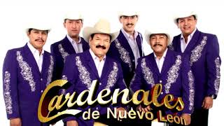 LOS CARDENALES DE NUEVO LEON  MIX  LOS MEJORES EXITOS PARA BAILAR VOL 1 [upl. by Mick]