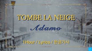 Tombe la neige 눈이 내리네 Adamo 1Hour  Lyrics  1시간듣기 한글가사 아다모 [upl. by Magnuson]