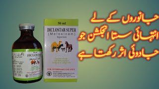 Diclostar super injection use in animals Best meloxicam injection urdu hindi [upl. by Siuqram755]