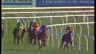 1987 Hennessy Cognac Gold Cup Handicap Chase [upl. by Dnilazor181]