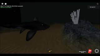 DBSA Beroe Goosefish Slimehead Eastern Pacific Black Ghostshark and Purplebelly Skate [upl. by Sidonie]