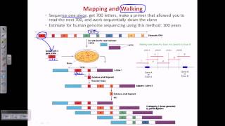 Genome sequencing [upl. by Had]