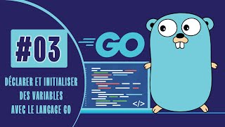 3  Déclarer et initialiser des variables avec le langage Go [upl. by Aynatan732]