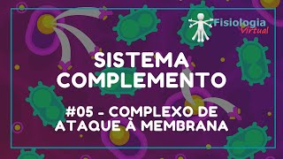 05 Complexo de Ataque à Membrana  Sistema Complemento  Imunologia [upl. by Attena772]