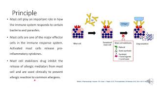 Anti allergic activity by mast cell stabilization assay [upl. by Fem653]