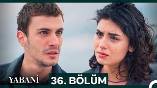 Yabani 36 Bölüm SEZON FİNALİ [upl. by Rinum784]