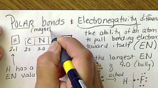 Electronegativity differences explain Polar bonds in covalent compounds [upl. by Mcgraw]