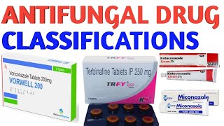 Antifungal drug classificathions pharmacy doctor pharmacology antibiotics nursing [upl. by Mariande]