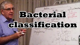 Bacterial Classification [upl. by Krishnah964]