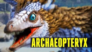 ARCHAEOPTERYX  How to tameEverything you need to know  Ark Survival Evolved Update 247 [upl. by Suki590]