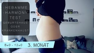 🤰3 SchwangerschaftsUpdate  Alles über den 3 Monat  KatAndFam [upl. by Radack]