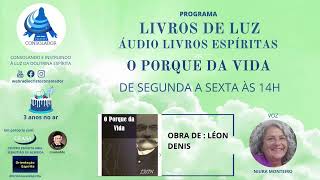 ÁUDIO LIVROS ESPÍRITAS –LIVRO O PORQUE DA VIDA CAP 9 RESUMO E CONCLUSÃO [upl. by Nnaaihtnyc630]