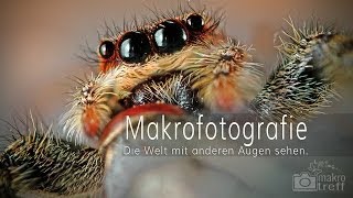 Makrofotografie  Die Welt mit anderen Augen sehen [upl. by Jerrome]