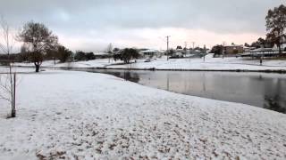 Thick Snow Blankets Stanthorpe Queensland Australia [upl. by Eki736]