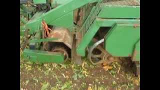 Beet Harvesting 20111 [upl. by Ttayw]