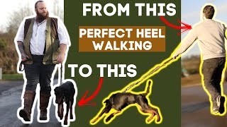 How To Teach Your Dog To Walk To Heel In Seconds [upl. by Delbert]