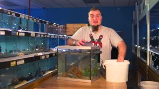 Fishkeeping Tips  How To Perform A Water Change On An Aquarium [upl. by Aisauqal]