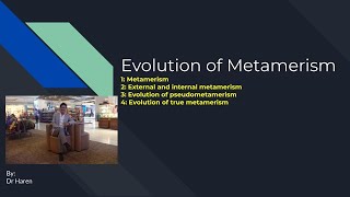 Evolution of Metamerism [upl. by Enetsuj]