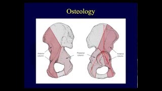 Acetabulum fracture anatomy OTA lecture series III v04a [upl. by Yann]