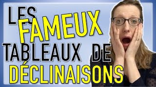 🇩🇪 Enfin comprendre les TABLEAUX de DECLINAISONS en allemand  😳 [upl. by Charbonneau]