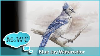 Realistic Bluejay Watercolor and Hahnemühle Expression Review [upl. by Adliwa]