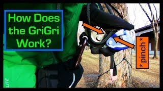 Petzl GriGri  How does it work [upl. by Sidonius379]