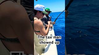 How the Tax Man RUINED Our Fishing Day [upl. by Jarlath568]