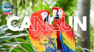 Ultimate Cancun Travel Guide Top Attractions Tips amp Best Food Spots [upl. by Nohsar]