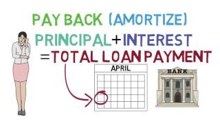 Loans 101 Loan Basics 13 [upl. by Paz]