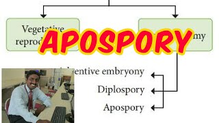 APOSPORY  TAMIL EXPLANATION  RECURRENT  கருவுறா வித்து [upl. by Ardnasyl]