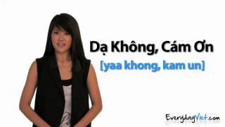 Learn Vietnamese Lesson 2 Yes No Maybe and No Thank You in Vietnamese [upl. by Uzzi195]