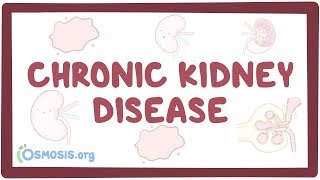 Chronic kidney disease  causes symptoms diagnosis treatment pathology [upl. by Neram]