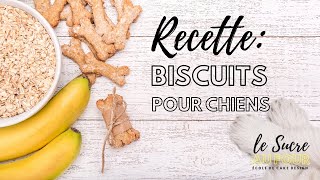 Recette de biscuits pour chiens [upl. by Anelrihs]