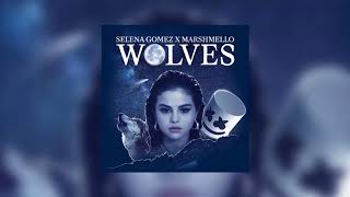 Selena Gomez  Wolves Studio Acapella [upl. by Hoem]