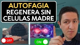 Que es la AUTOFAGIA y Cómo ACTIVARLA por métodos NATURALES Dr Antonio Cota Sugar Care [upl. by Eirojam]