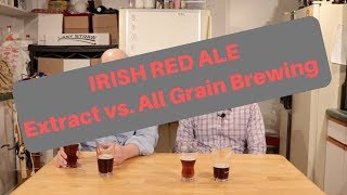 Irish Red Ale SHOWDOWN  Extract vs All Grain Brewing Tasting [upl. by Fransen]