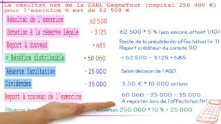 STMG  GF  Affectation du résultat [upl. by Snashall]