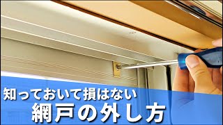 【意外と知らない】網戸が外れない時の外し方【一生役に立つ知識】 [upl. by Anairotciv]