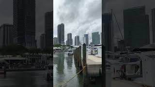 travel bayside miami floridatrip usa viralshorts viralvideos viralvideo blessed amazing [upl. by Flyn46]