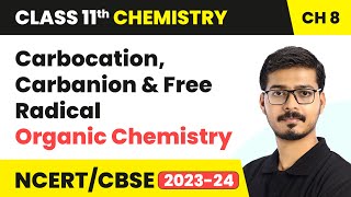 Carbocation Carbanion and Free Radical  Organic Chemistry  Class 11 Chemistry Chapter 8 [upl. by Wheelwright]