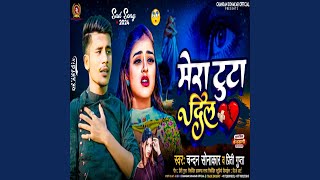 Mera Tuta Dil Bhojpuri Song [upl. by Ehrenberg]