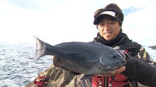 【いつでも釣り気分！】244 魅力溢れる甑島の磯 最高峰タックルを携えて良型グレを追う！ [upl. by Svetlana]