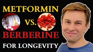 Metformin vs Berberine For Longevity Metformin and Berberine Together  David Sinclair Sweet Fruit [upl. by Sidoma]