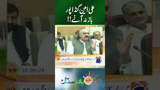 Ali Amin Gandapur  PTI vs PMLN  Maryam Nawaz vs Ali Amin [upl. by Anastase]