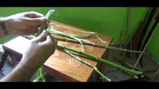 How to make cordage from Milkweed [upl. by Ainslie730]