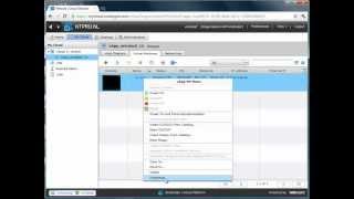 VMware vCloud Director  Add a Firewall Rule to a vApp Network [upl. by Assyral707]